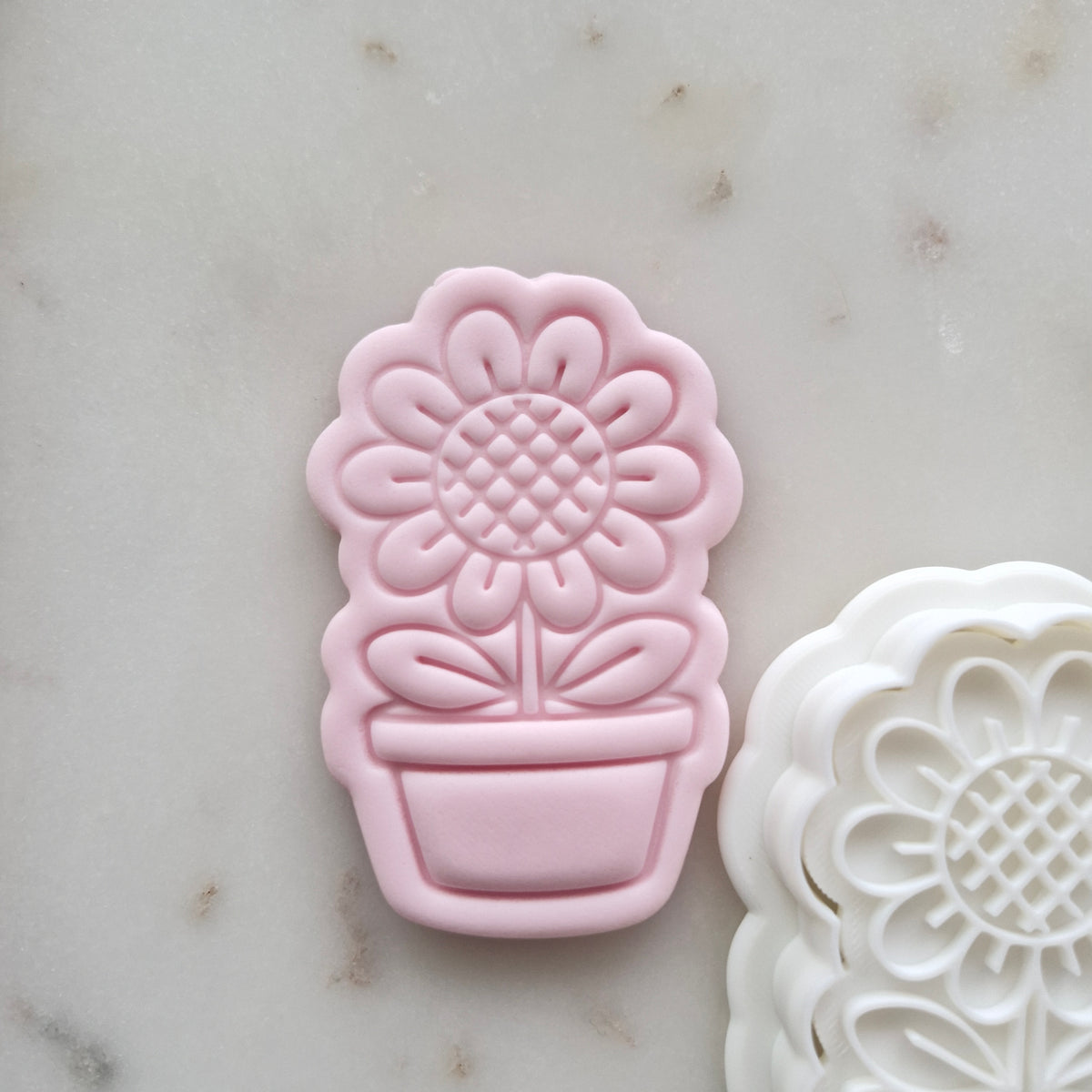 Thank You For Helping Me Grow Set VS2 Cookie Cutter and Stamp