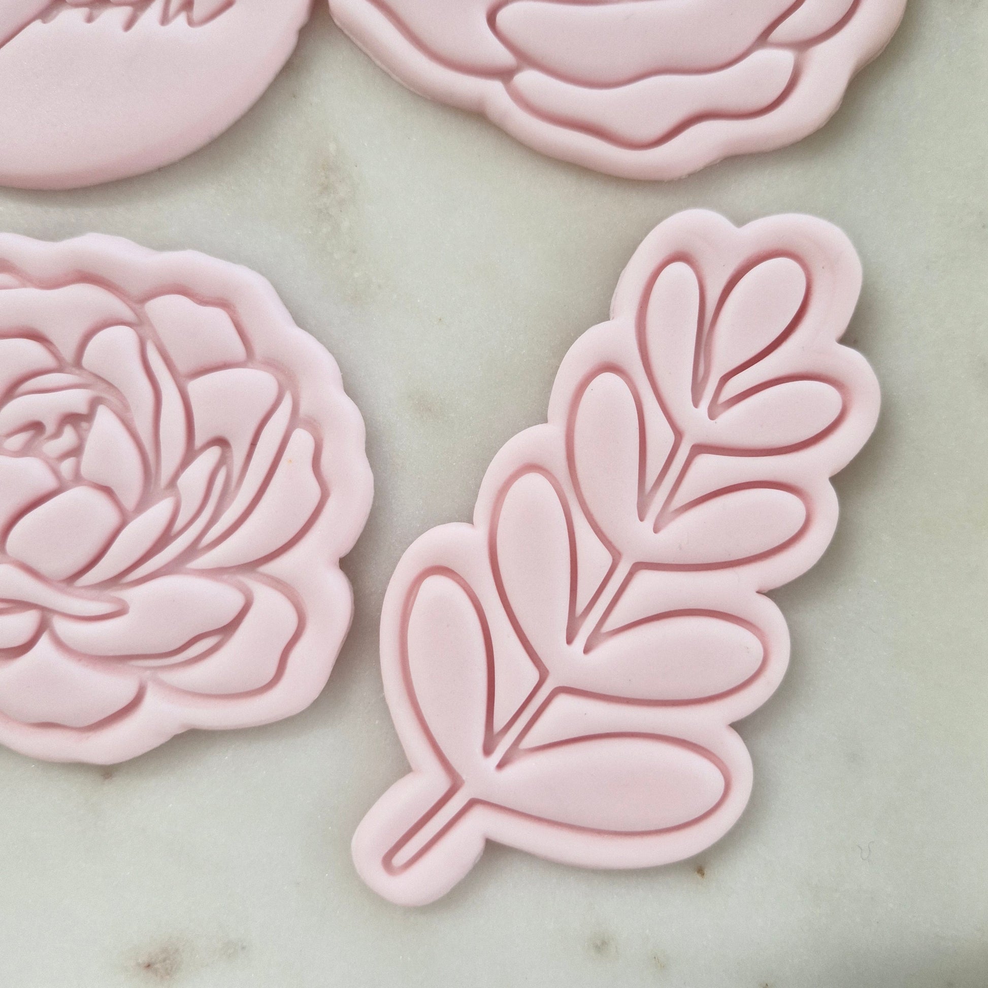 Baby in Bloom Set Cookie Cutter and Stamp leaf Leaf Branch Cookie Cutter and Stamp