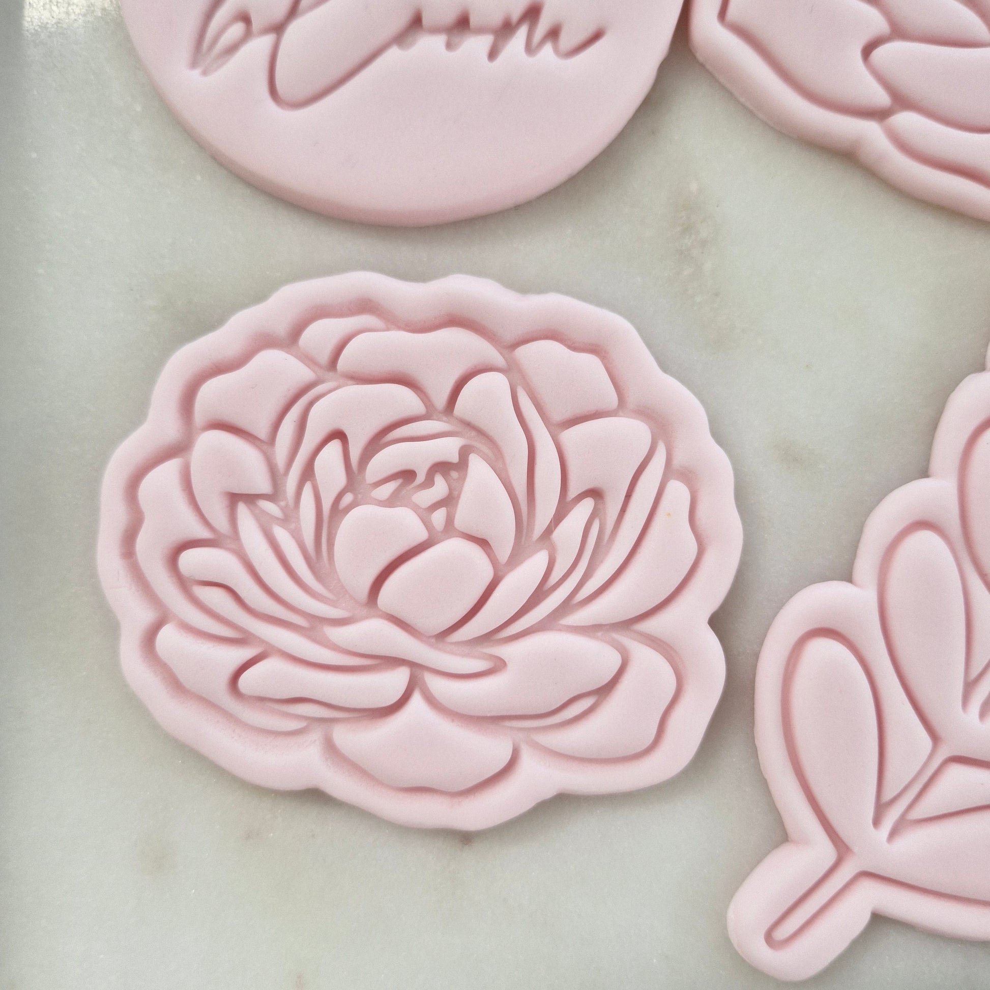 Baby in Bloom Set Cookie Cutter and Stamp blooming peony Blooming Peony Cookie Cutter and Stamp