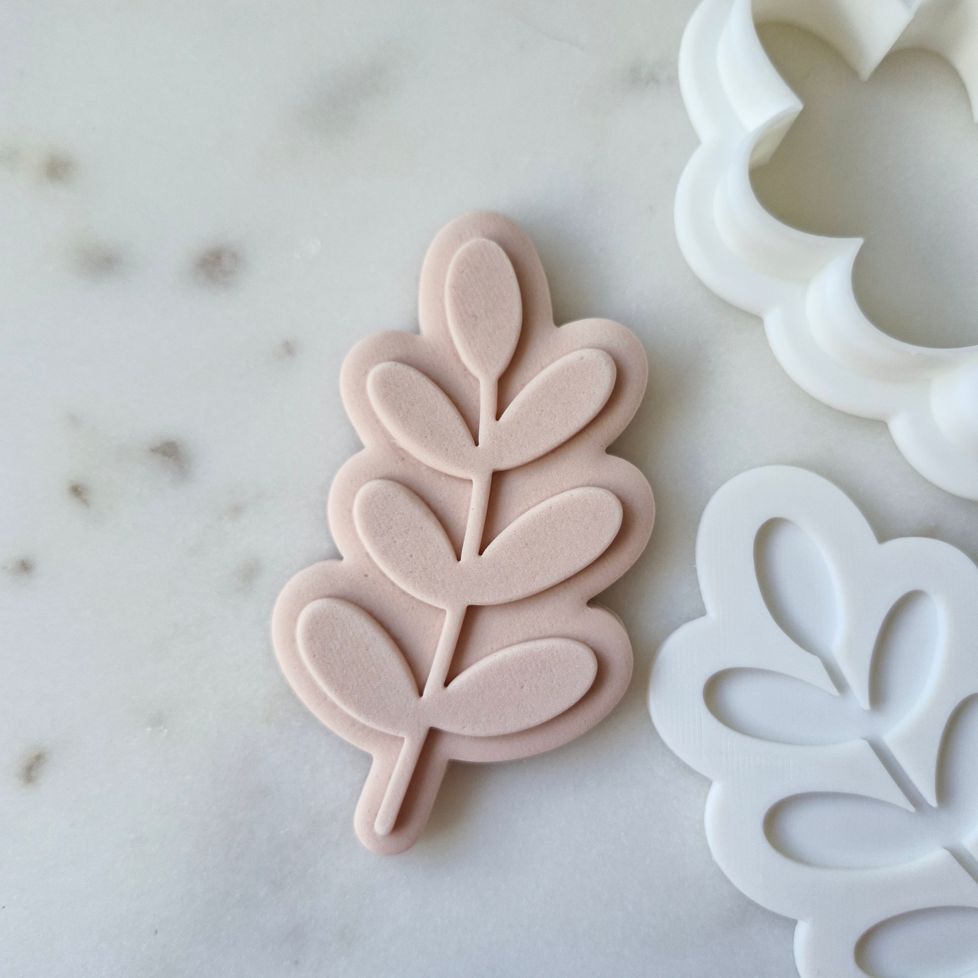 Botanical Leaf Cookie Cutter and Stamp zoomed in on white marble background
