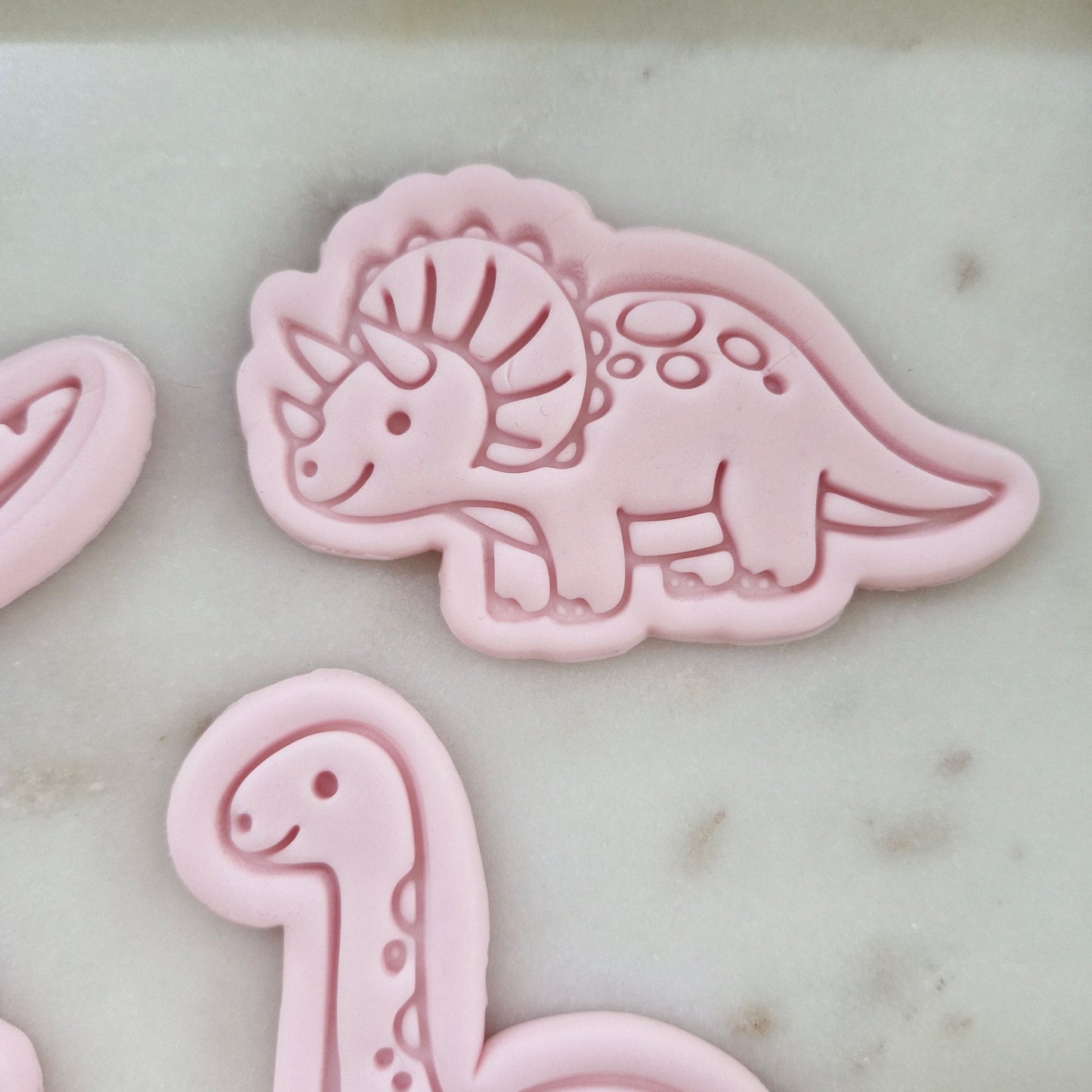 Dinosaur Set Cookie Cutter and Stamp zoomed in