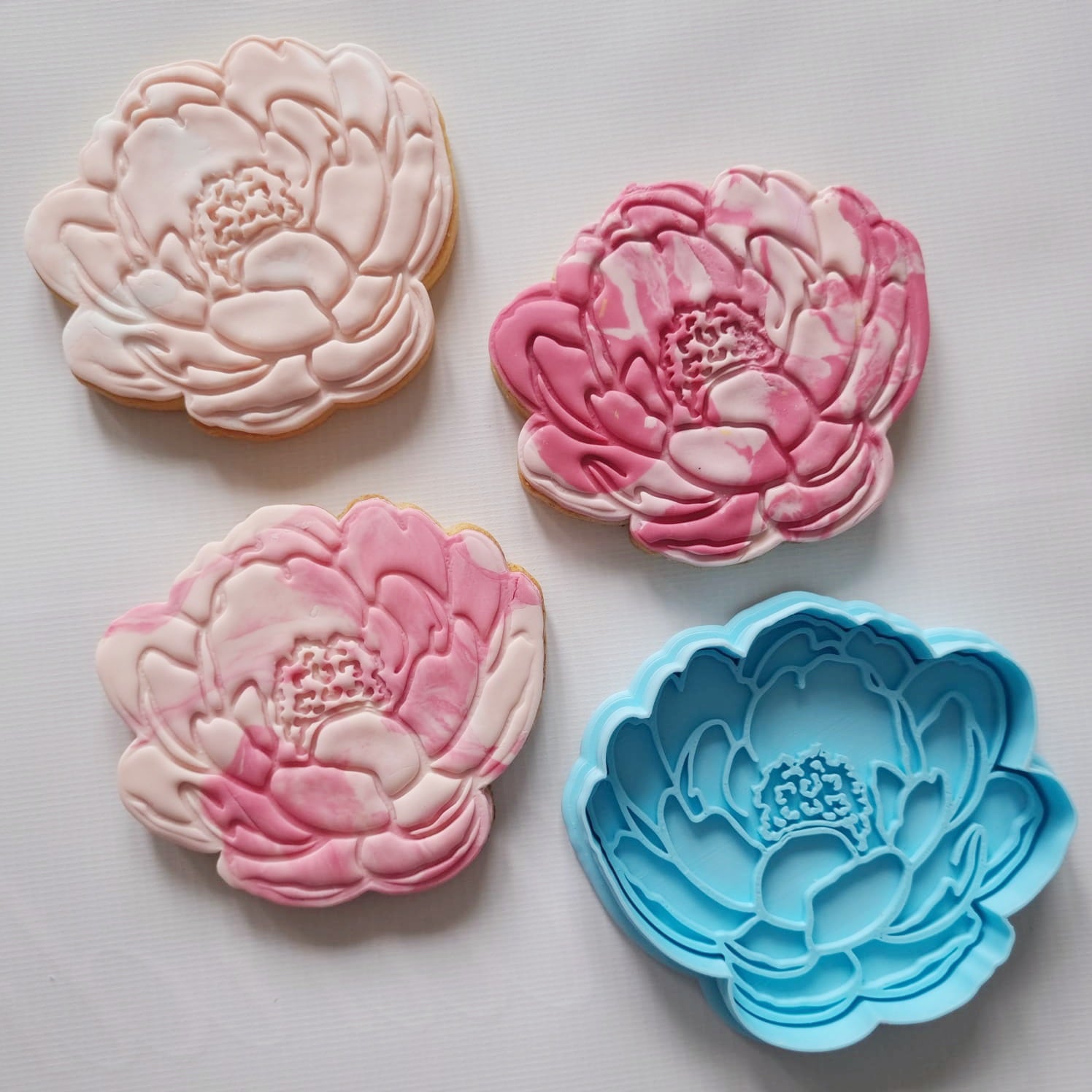 3 sugar cookies in the shape of peony flower alongside the cookie cutter and stamp on a white background Peony Flower Cookie Cutter and Stamp 