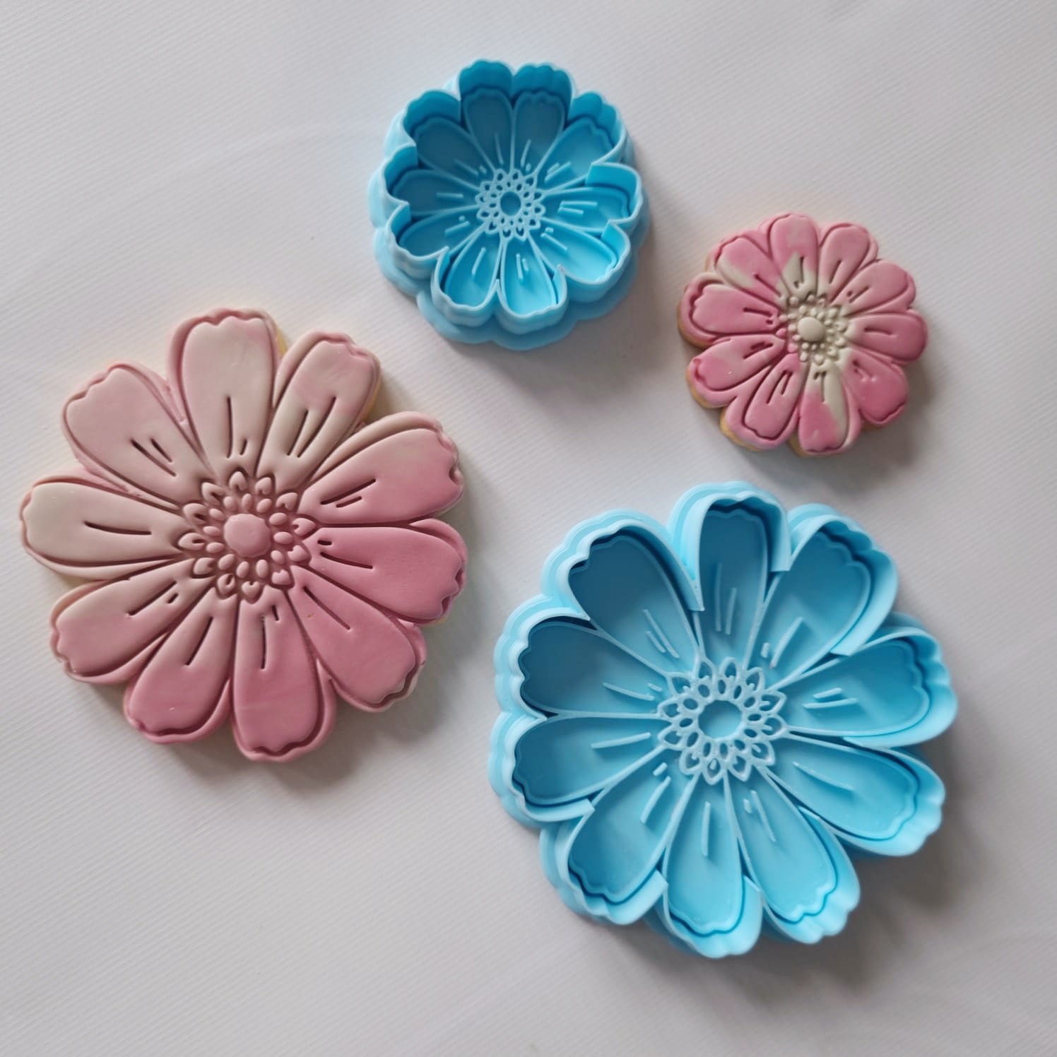 2 sugar cookies and 2 cookie cutters with stamp each had one small and large design the shape is in gerbera dairy flower the cookie cutters are blue and flowers are mixed colours Gerbera Daisy Cookie Cutter and Stamp