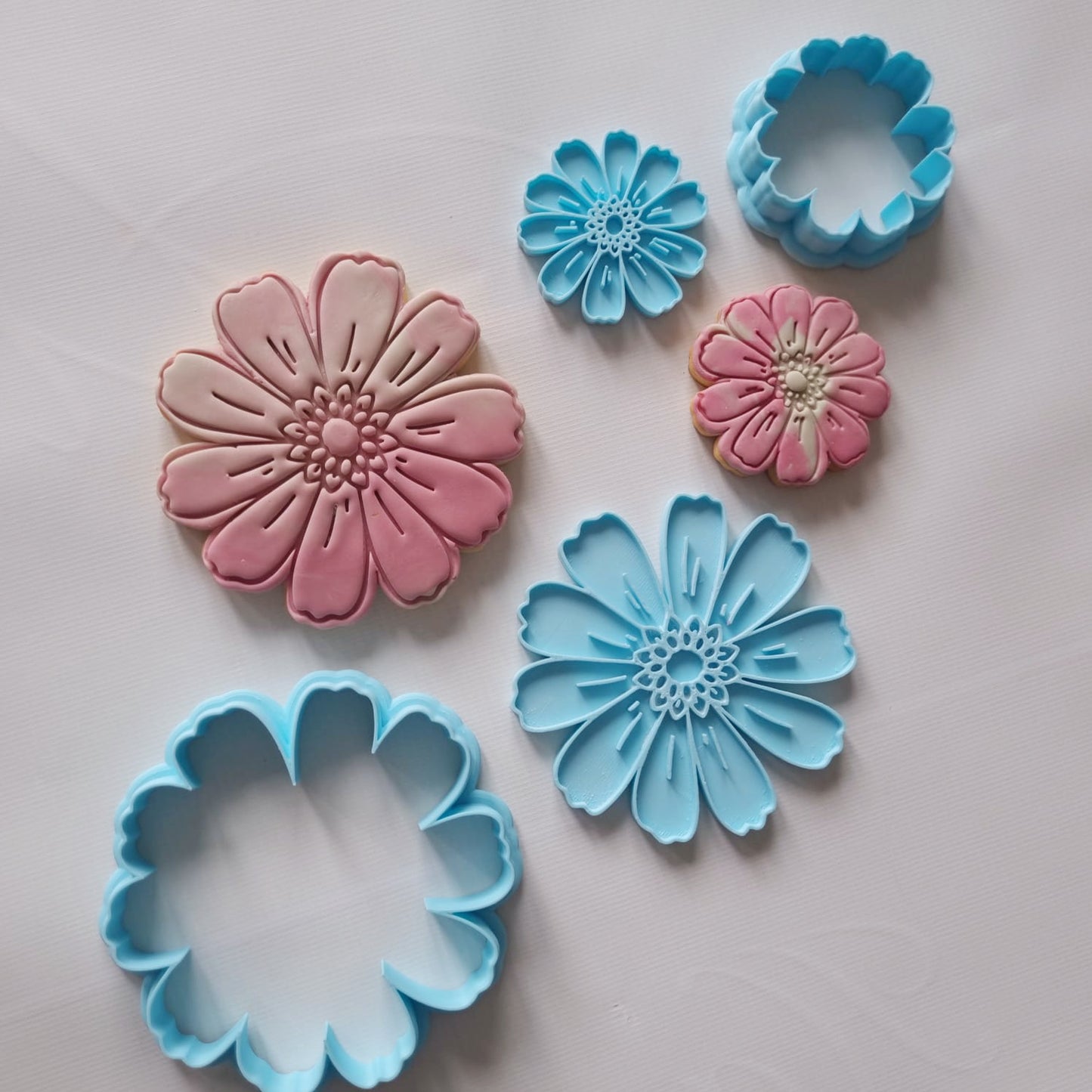 2 cookie cutters and stamps and 2 sugar cookies both have one small and large shape of the shape gerbera dairy flower and all spread out on a white background Gerbera Daisy Cookie Cutter and Stamp