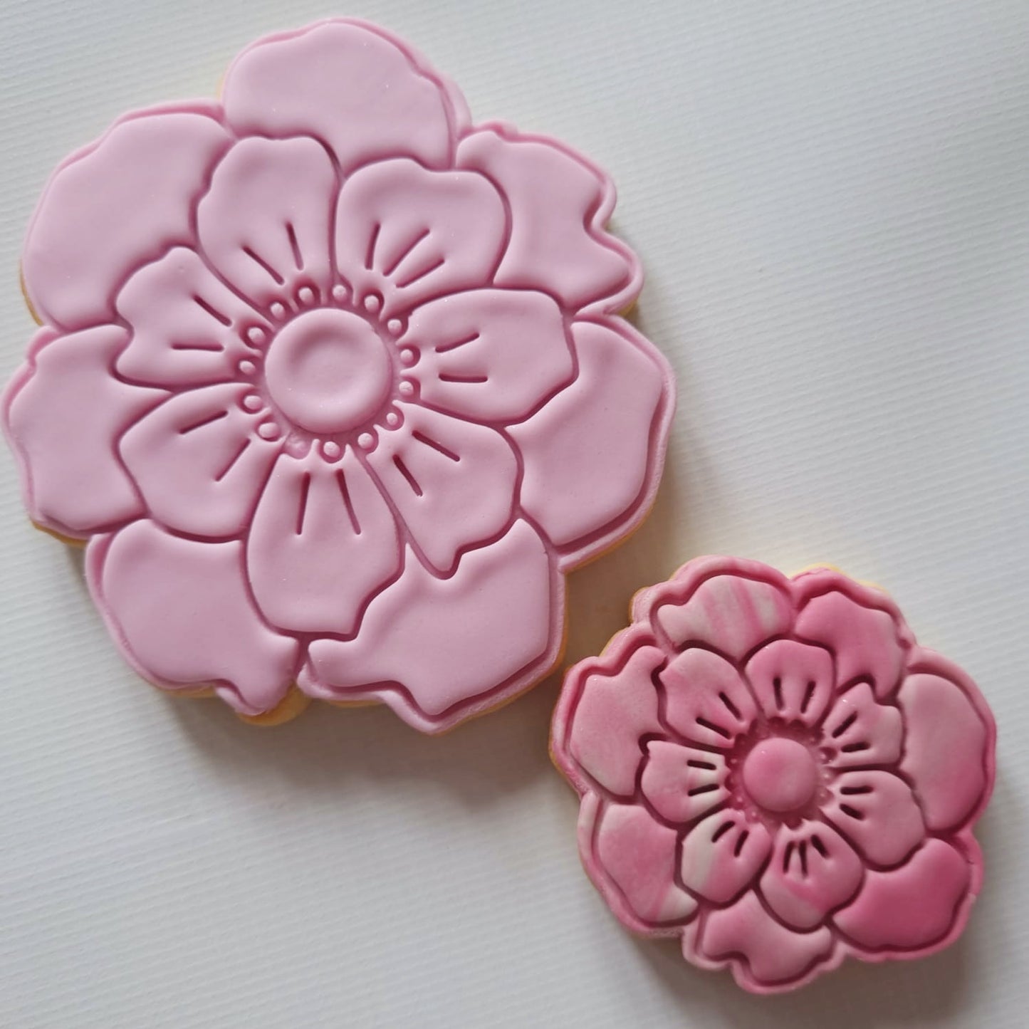 2 sugar cookies in peony flowers one big one small pink and a multicolor red small sugar cookie with white background Open Peony Flower Cookie Cutter and Stamp