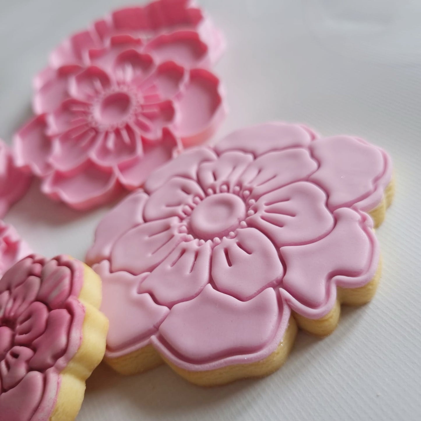 a pink peony sugar cookie on the with a pink peony floral cookie stamp and cutter in the back with a white background Open Peony Flower Cookie Cutter and Stamp