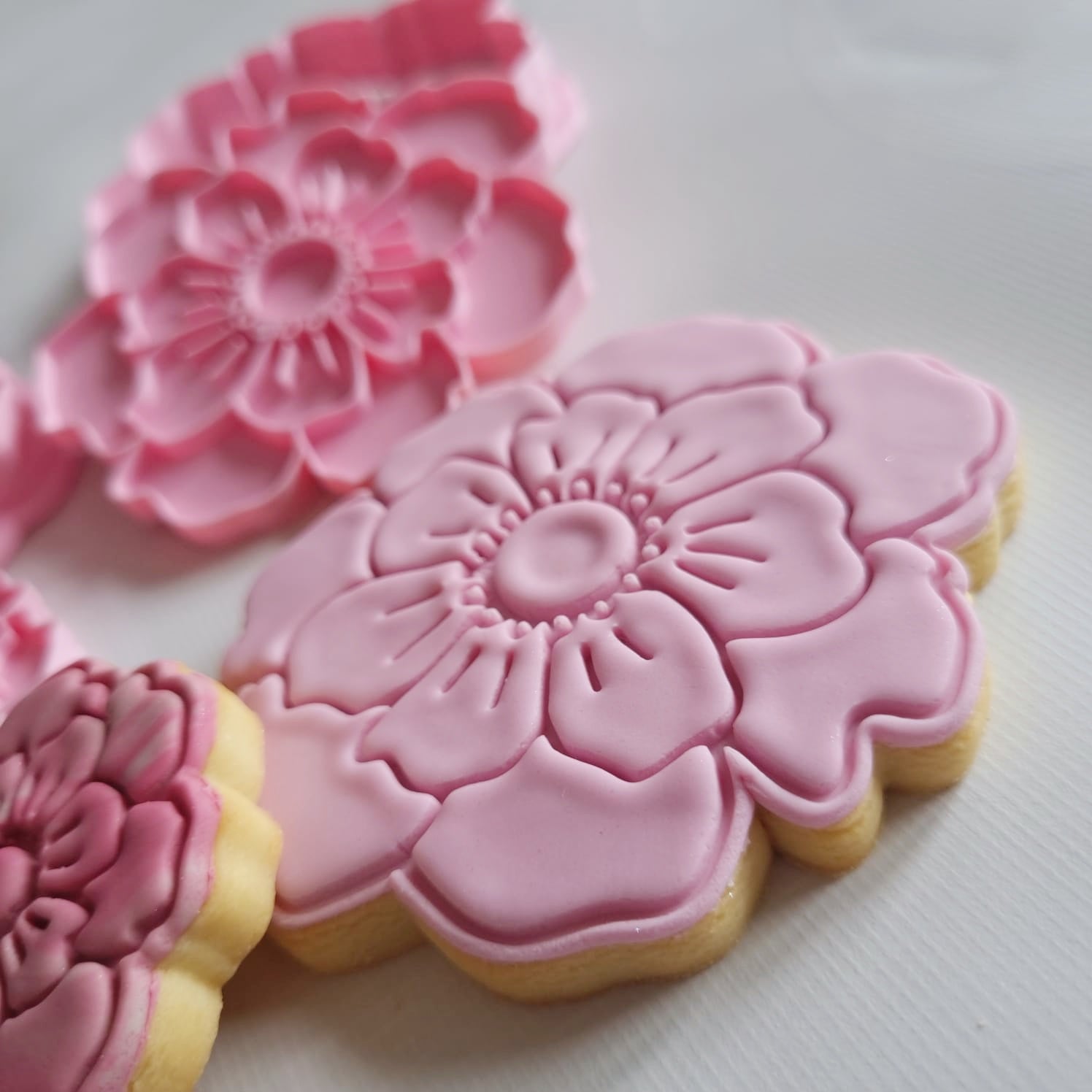 a pink peony sugar cookie on the with a pink peony floral cookie stamp and cutter in the back with a white background Open Peony Flower Cookie Cutter and Stamp