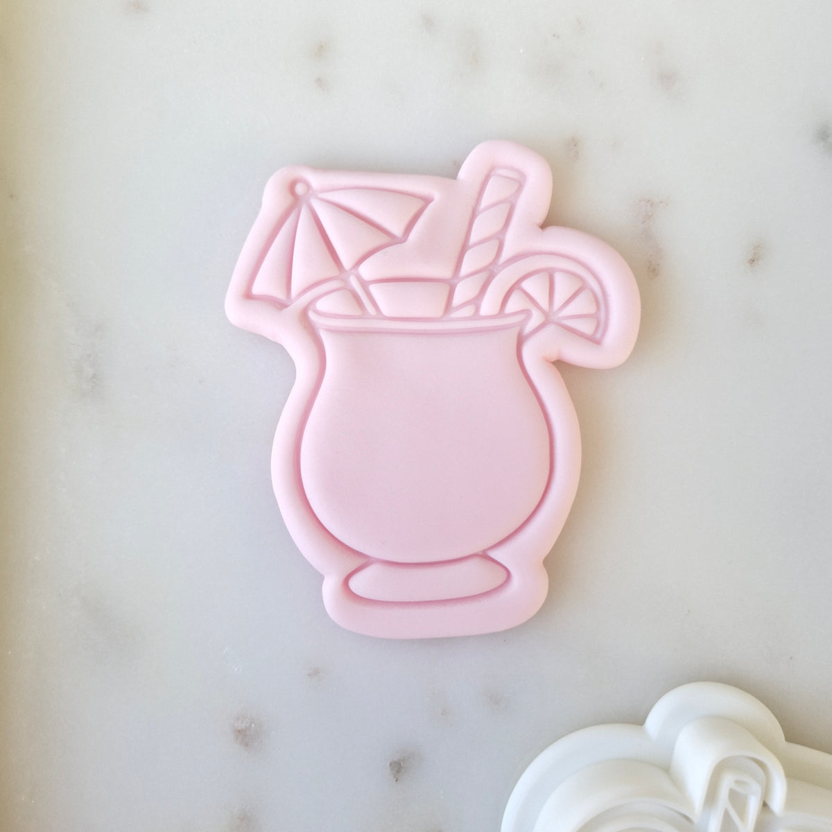 Pool Party Set Cookie Cutter and Stamp