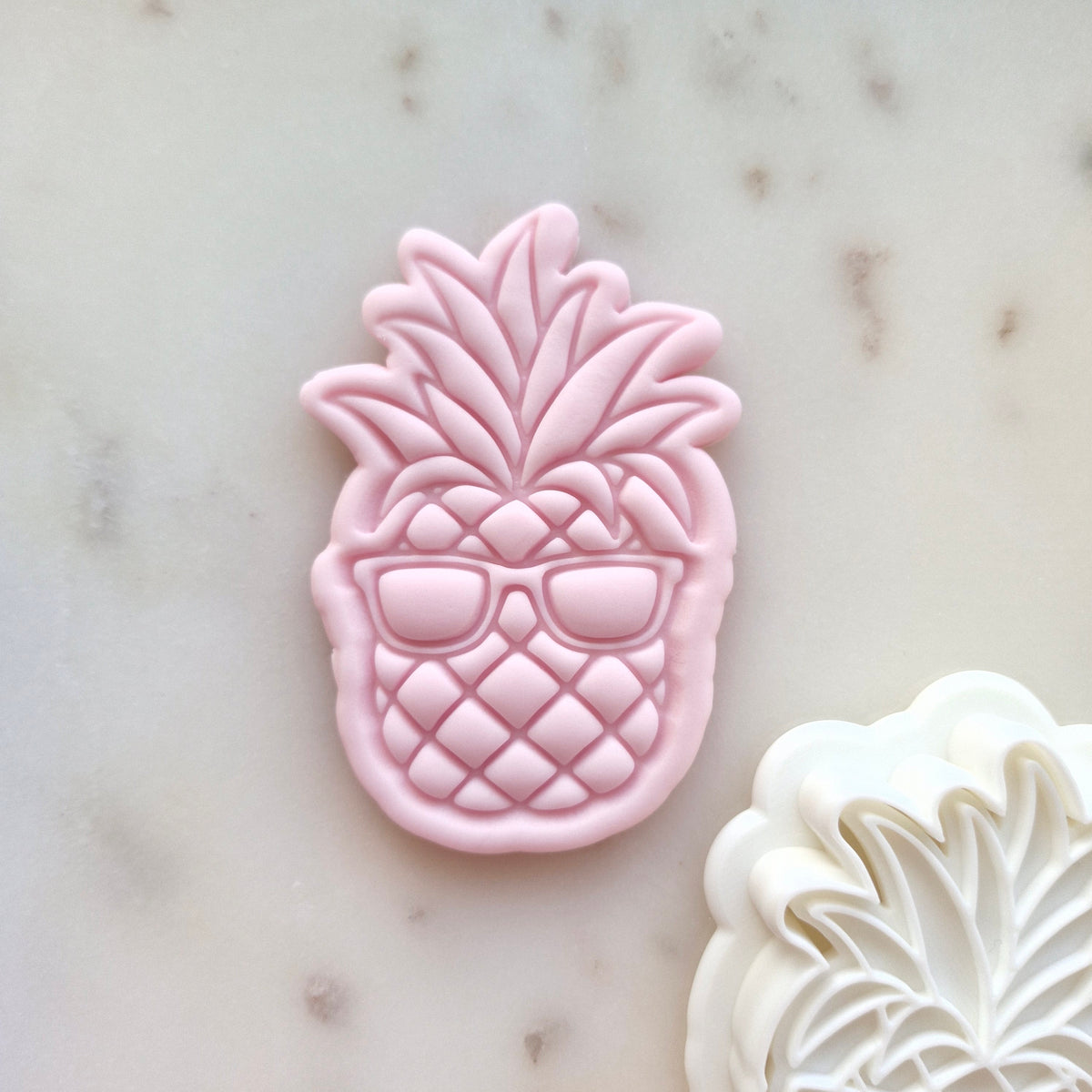 Pool Party Set Cookie Cutter and Stamp
