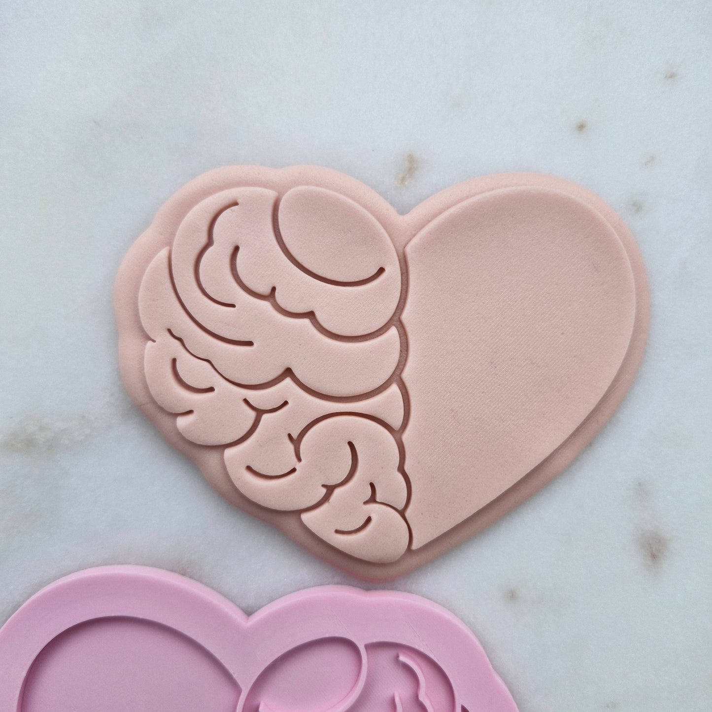 Brain Heart Cookie Cutter and Stamp - Baking Tool zoomed in on white marble