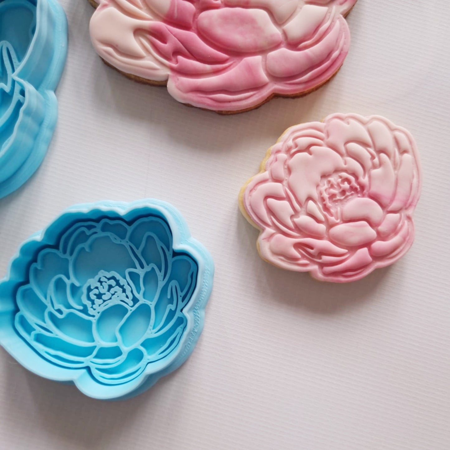 small sugar cookie in peony floral shape alongside the cookie cutter and stamp for it on white background Peony Flower Cookie Cutter and Stamp  