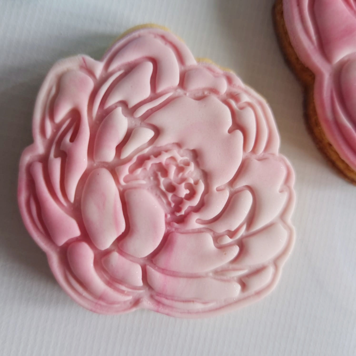 up close of the small peony flower sugar cookie that's on white background mat Peony Flower Cookie Cutter and Stamp 