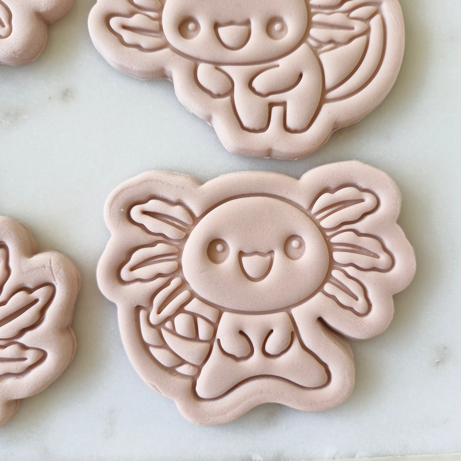 Axolotl Set Cookie Cutter and Stamp standing